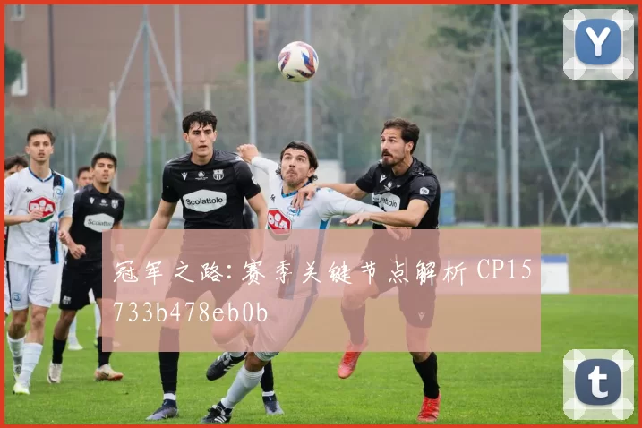 冠军之路:赛季关键节点解析 CP15733b478eb0b