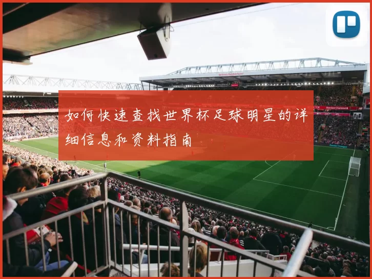 如何快速查找世界杯足球明星的详细信息和资料指南