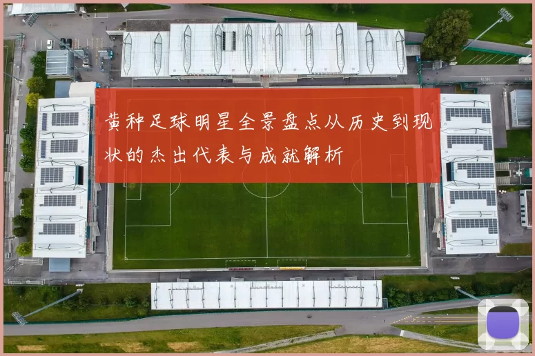 黄种足球明星全景盘点从历史到现状的杰出代表与成就解析