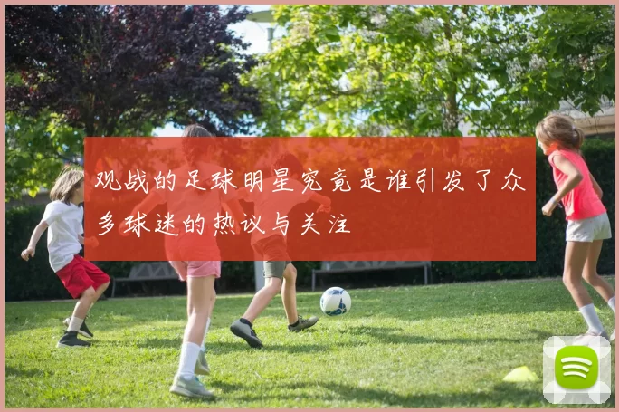 观战的足球明星究竟是谁引发了众多球迷的热议与关注