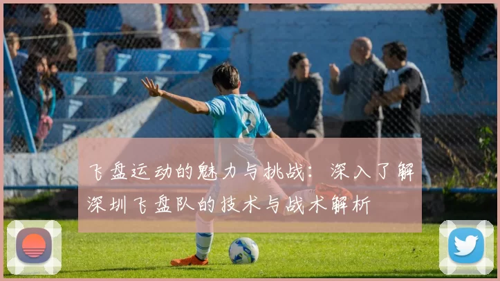 飞盘运动的魅力与挑战：深入了解深圳飞盘队的技术与战术解析